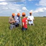 Fieldlook crop monitoring